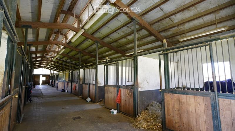 Empty stable with wooden stalls, metal bars, and hay on the floor. No furniture or equipment visible.