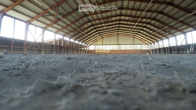 Large indoor stable with a dirt floor, wooden beams, and a high arched ceiling. Natural light streams in through the windows, and there are some wooden structures and fencing visible.