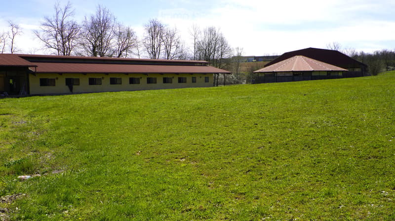 A large, open grassy field with two buildings in the background, one with a red-tiled roof and the other with a dark roof, surrounded by leafless trees.