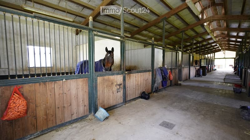 Stable with wooden stalls, a horse in a stall, hay on the floor, and stable equipment visible.