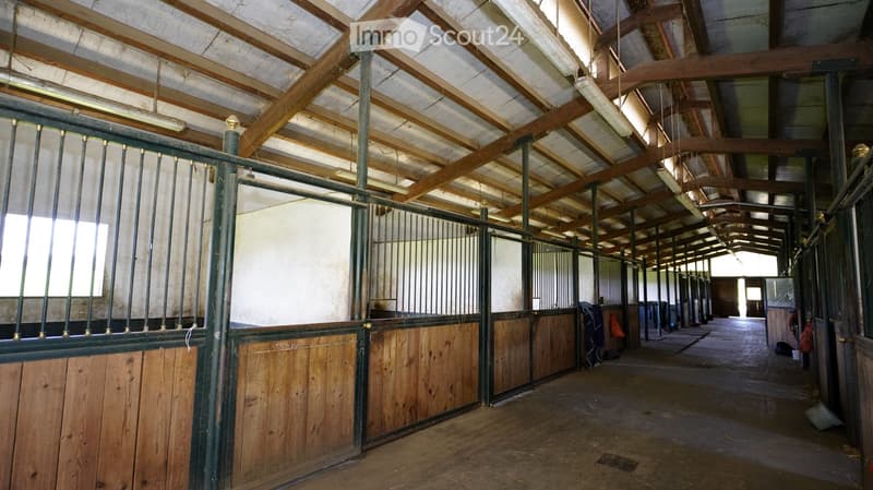 Empty stable with wooden stalls, metal gates, and exposed wooden beams on the ceiling. The floor is concrete, and the walls are white.