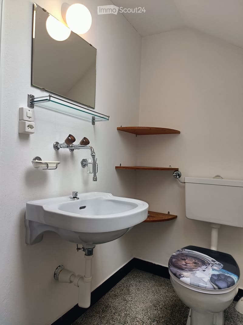 Modern bathroom with a white sink, chrome faucet, wall-mounted mirror, and a toilet with a decorative seat cover. Wooden shelves are mounted on the wall above the sink.