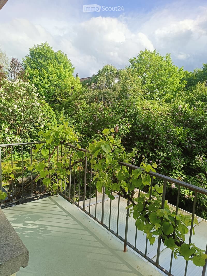 Balcony with metal railing, covered with climbing vines, surrounded by lush greenery and trees.