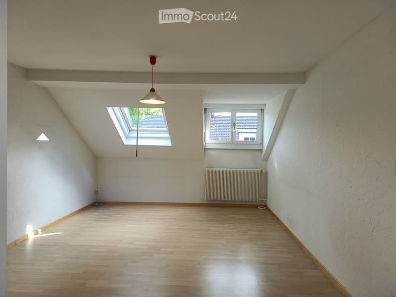 Empty attic room with wooden flooring, white walls, skylight window, and a radiator. No furniture or equipment present.