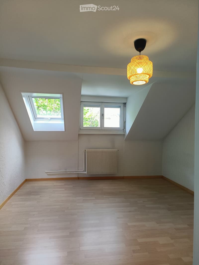 Empty attic room with wooden flooring, white walls, skylight window, and a radiator. A modern pendant light fixture hangs from the ceiling.