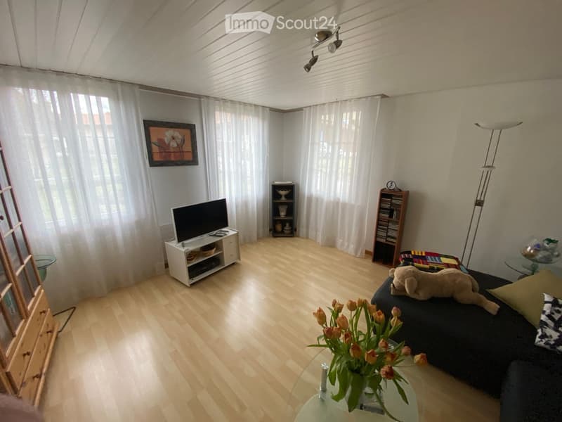 Modern living room with wooden flooring, large windows with white curtains, a black sofa with a teddy bear, a glass coffee table with a flower arrangement, a TV stand, and bookshelves.