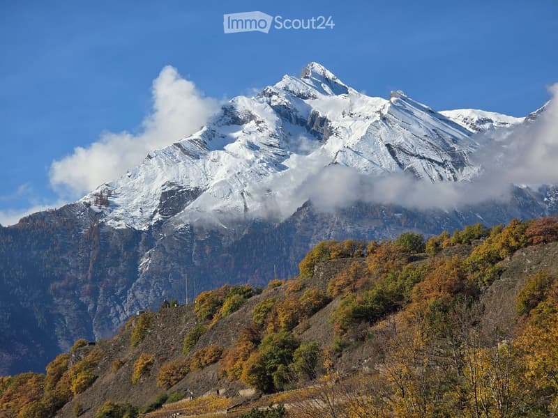A snow-capped mountain peak surrounded by autumn-colored trees and a clear blue sky.