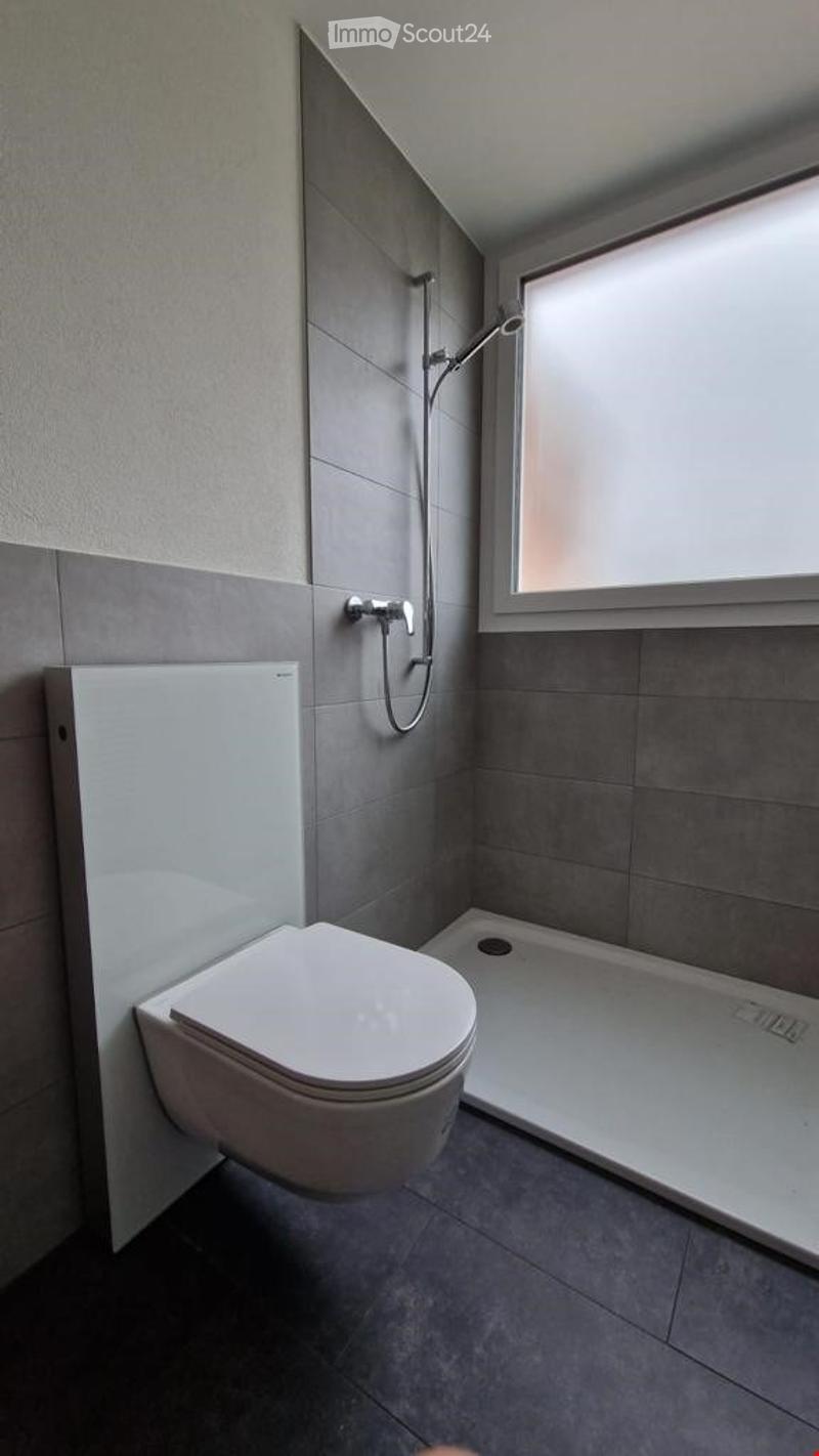 Modern bathroom with grey tiled walls and floor, white toilet, and a walk-in shower with a glass door.