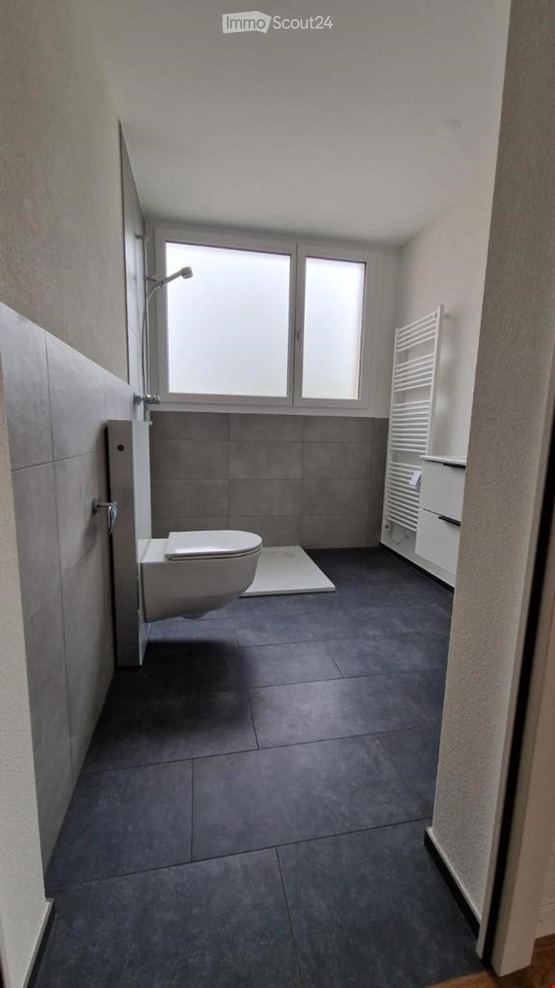 Modern bathroom with grey tiles, a toilet, a shower, and a radiator. The room features large windows allowing natural light to enter.