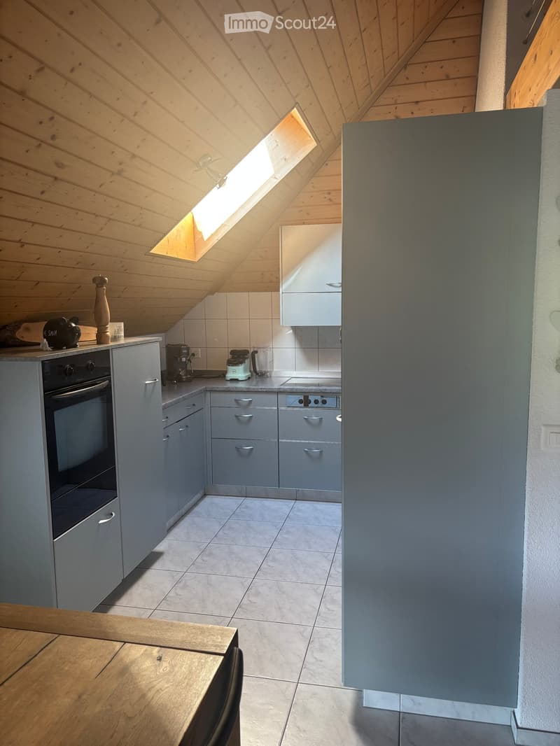 Modern kitchen with grey cabinets, white tiles, and a skylight above the countertop. Includes an oven, refrigerator, coffee maker, and blender on the counter.