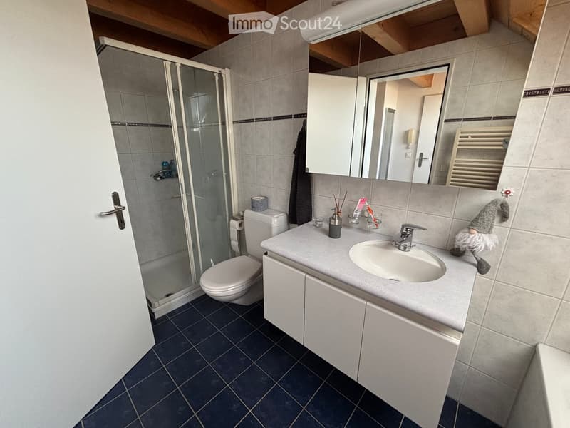 Modern bathroom with a white toilet, sink, mirror, and shower. Features dark blue tiles on the floor and light grey tiles on the walls.
