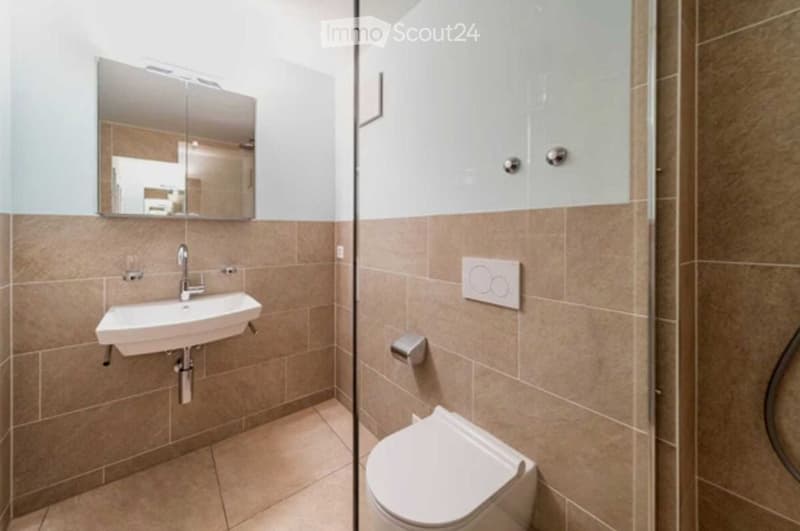 Modern bathroom with a white sink, chrome faucet, large mirror, toilet, and a glass-enclosed shower area.