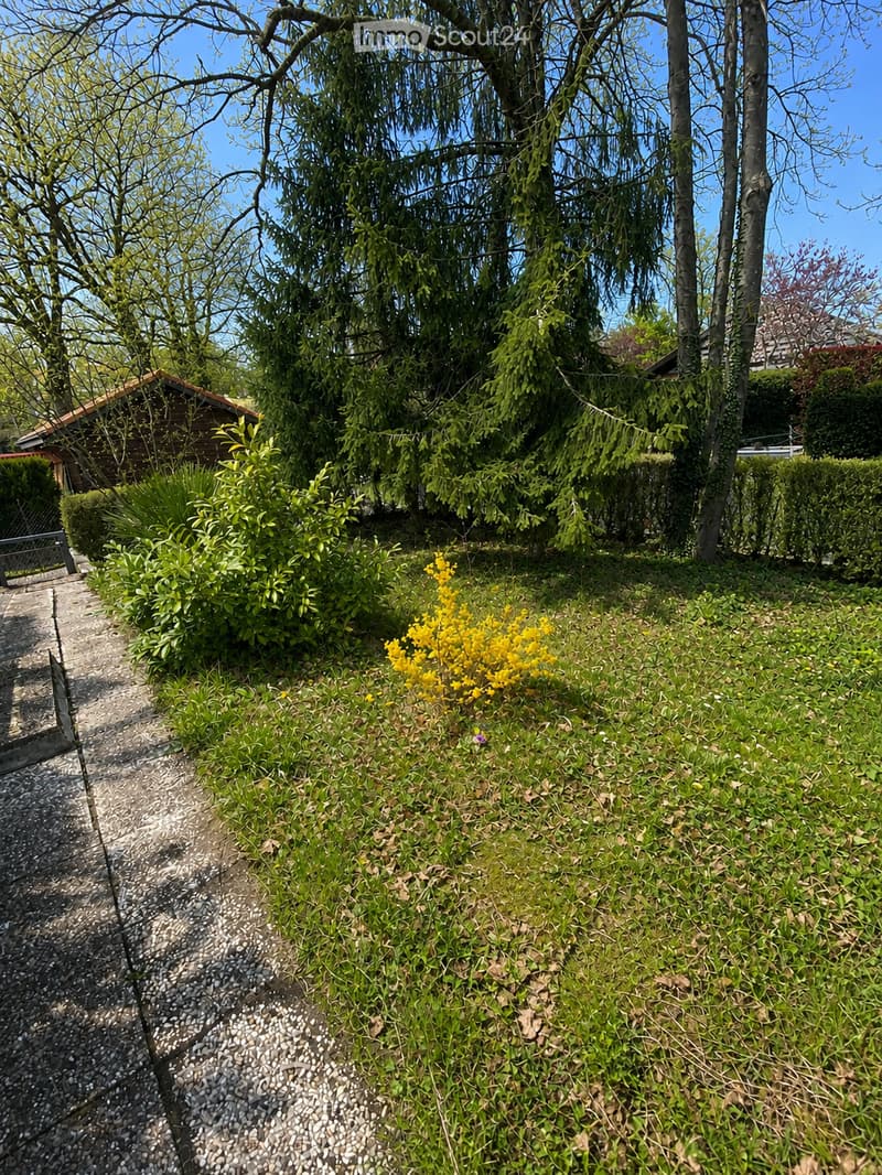A well-maintained garden with a gravel pathway, green grass, shrubs, and a small wooden structure in the background.