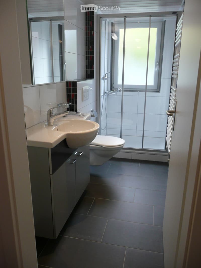 Modern bathroom with a sink, toilet, shower, mirror, and cabinet
