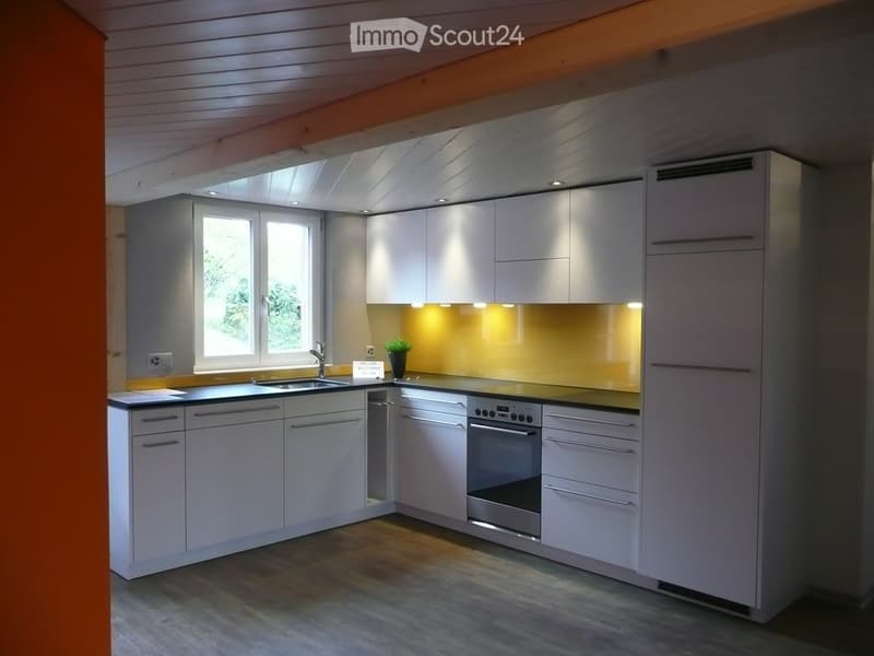 white kitchen with modern appliances, yellow countertops, window, built-in cabinets, drawers, black countertops, stainless steel sink, faucet, potted plant