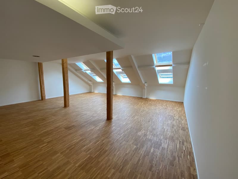 Empty attic space with wooden flooring, white walls, and skylight windows allowing natural light.