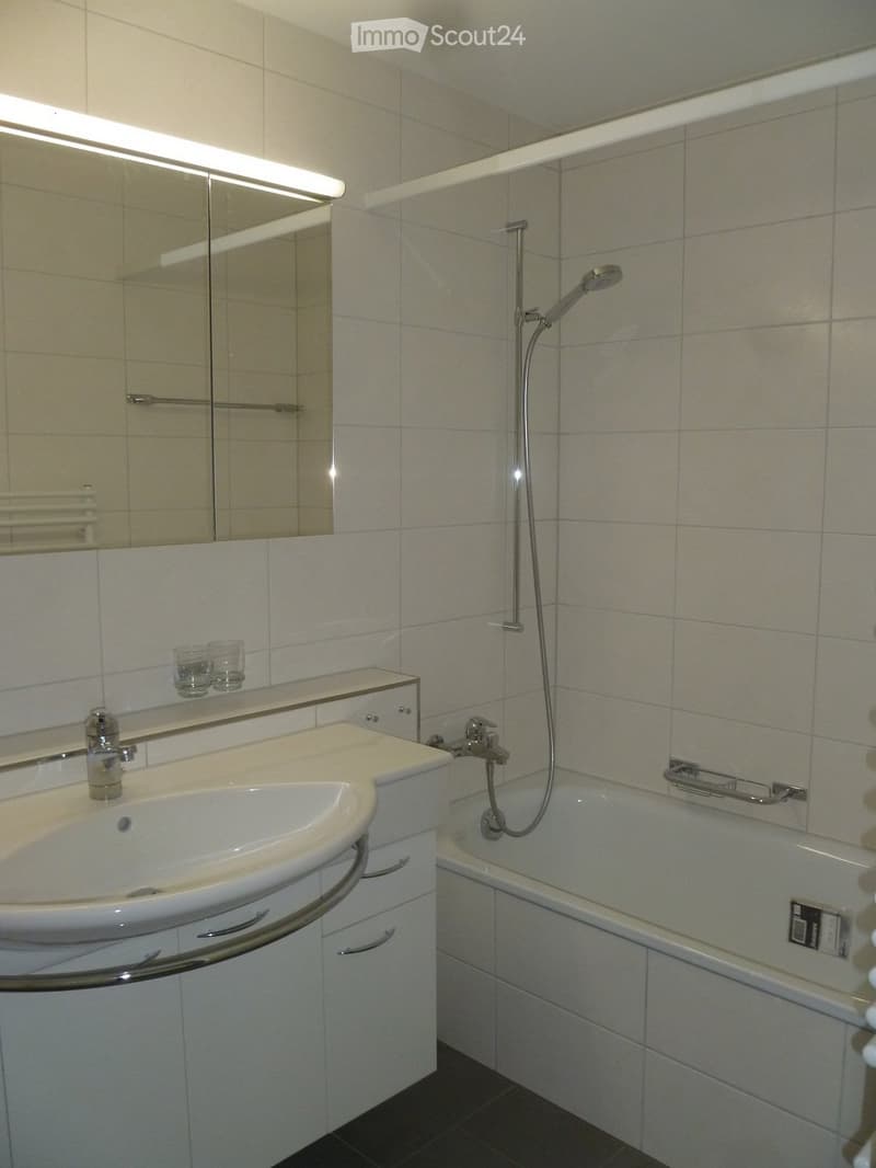 Modern bathroom with a white sink, mirror, bathtub, and showerhead. The sink has a chrome faucet and is mounted on a white cabinet with drawers. A large mirror with built-in lighting is above the sink. The bathtub has a handheld showerhead and a grab bar