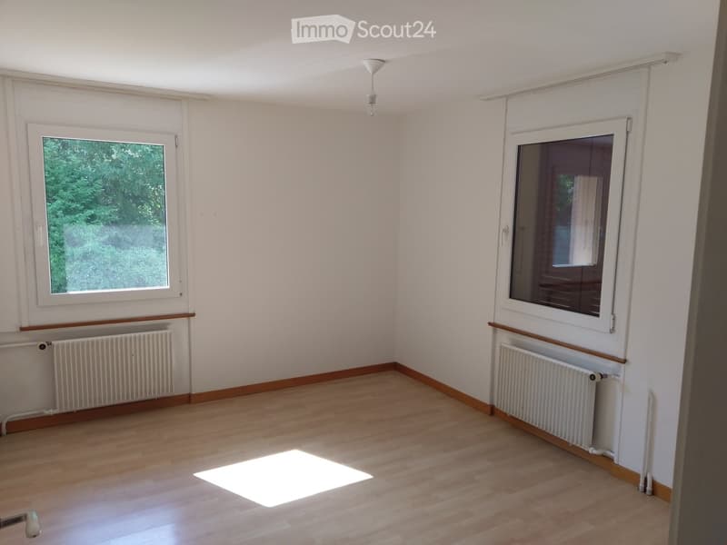 Empty room with wooden flooring, white walls, two windows, radiators, and a ceiling light fixture.