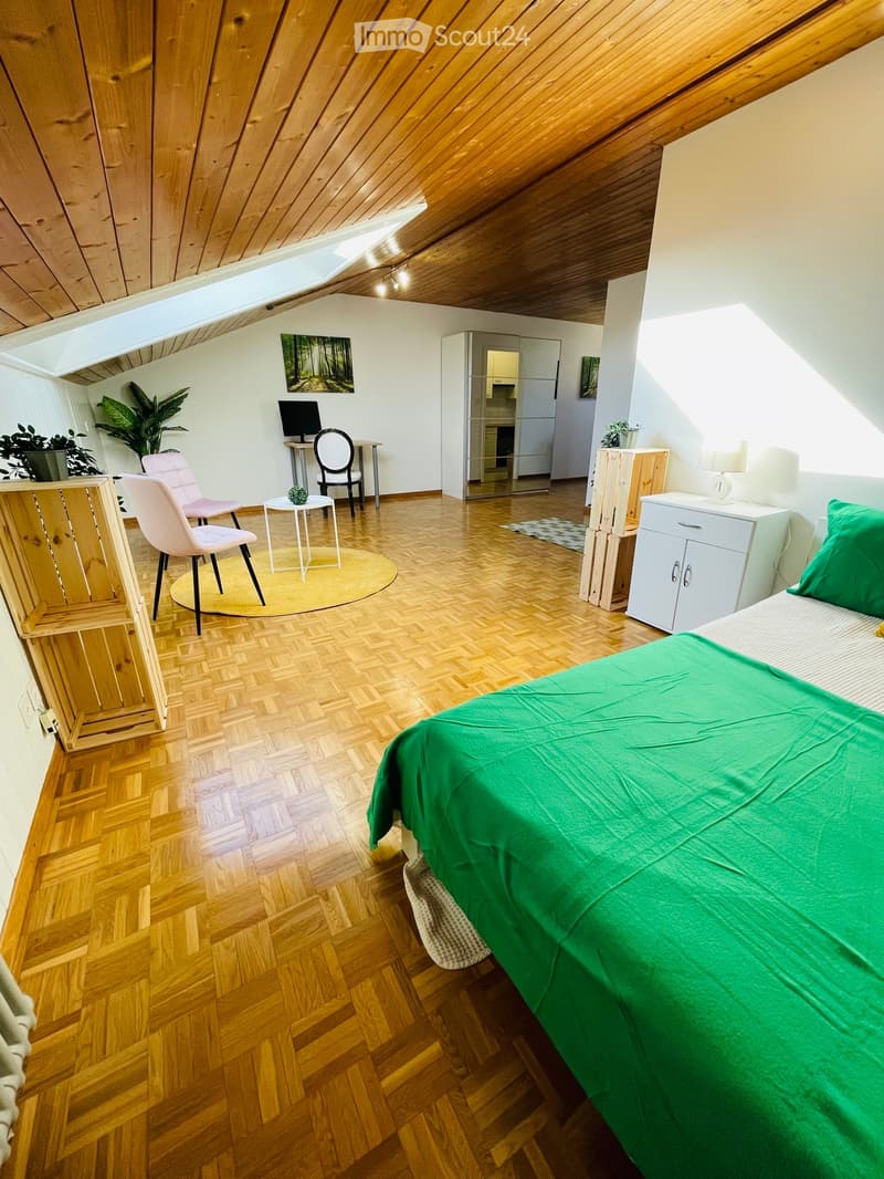 single bed, desk, chairs, side table, lamp, cabinets, radiator, potted plants, wooden floors, sloping ceiling