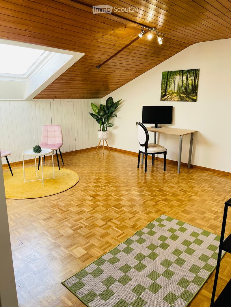 Room with desk, monitor, chair, pink chairs, round yellow rug, potted plant, skylight, and checkered green and white rug.