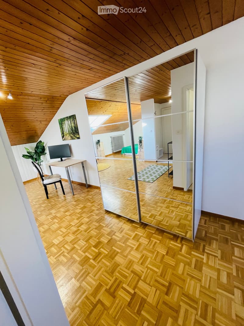 wooden floors, wooden ceiling, desk with monitor, chair, mirror wardrobe, green plant