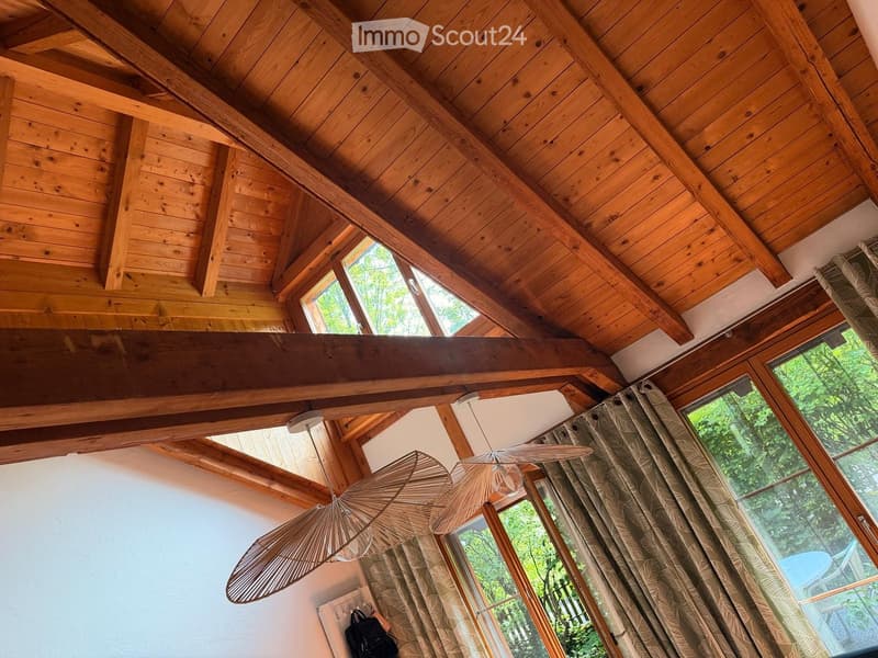 A room with a wooden ceiling and exposed beams, large windows with curtains, and a hanging fan.
