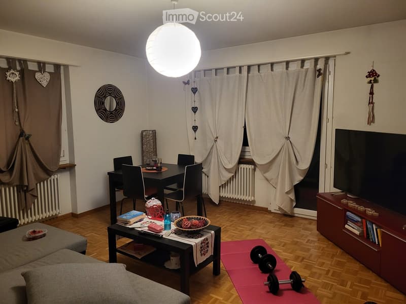 Living room with a grey sofa, coffee table, dining table, chairs, TV, bookshelf, mirror, and decorative items. Wooden floor, large window with curtains, and exercise mat with dumbbells.