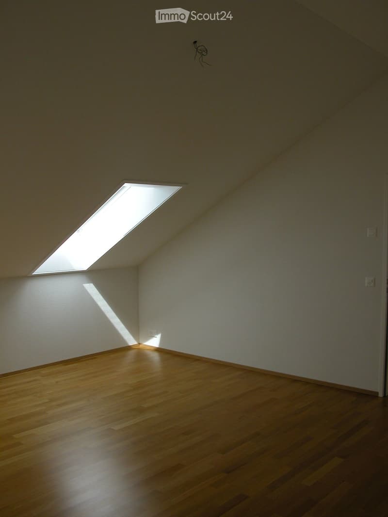 Empty attic room with wooden flooring, white walls, and a skylight window allowing natural light to enter.