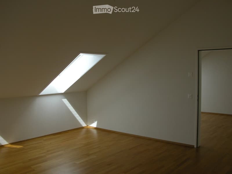 Empty attic room with wooden flooring, white walls, and a skylight window allowing natural light to enter.
