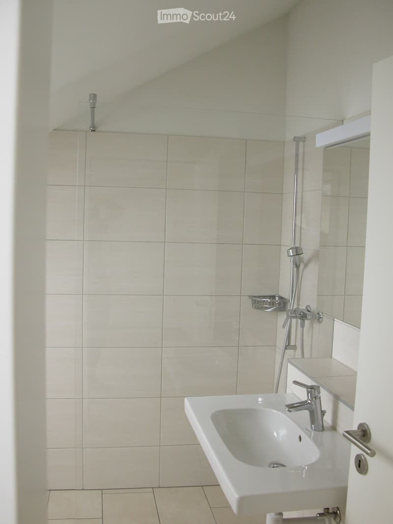 Modern bathroom with a white sink, chrome faucet, and a glass-enclosed shower area with a handheld showerhead and a built-in shelf.