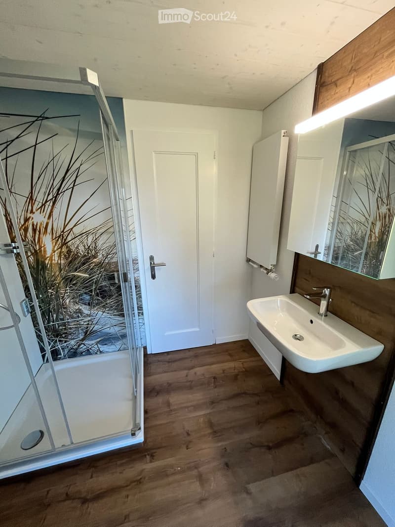 Modern bathroom with wooden flooring, white sink, mirror, and glass-enclosed shower area.