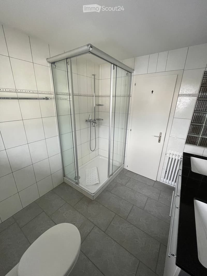 Modern bathroom with a glass-enclosed shower, toilet, sink, and radiator. The walls are tiled, and the floor is made of gray tiles.