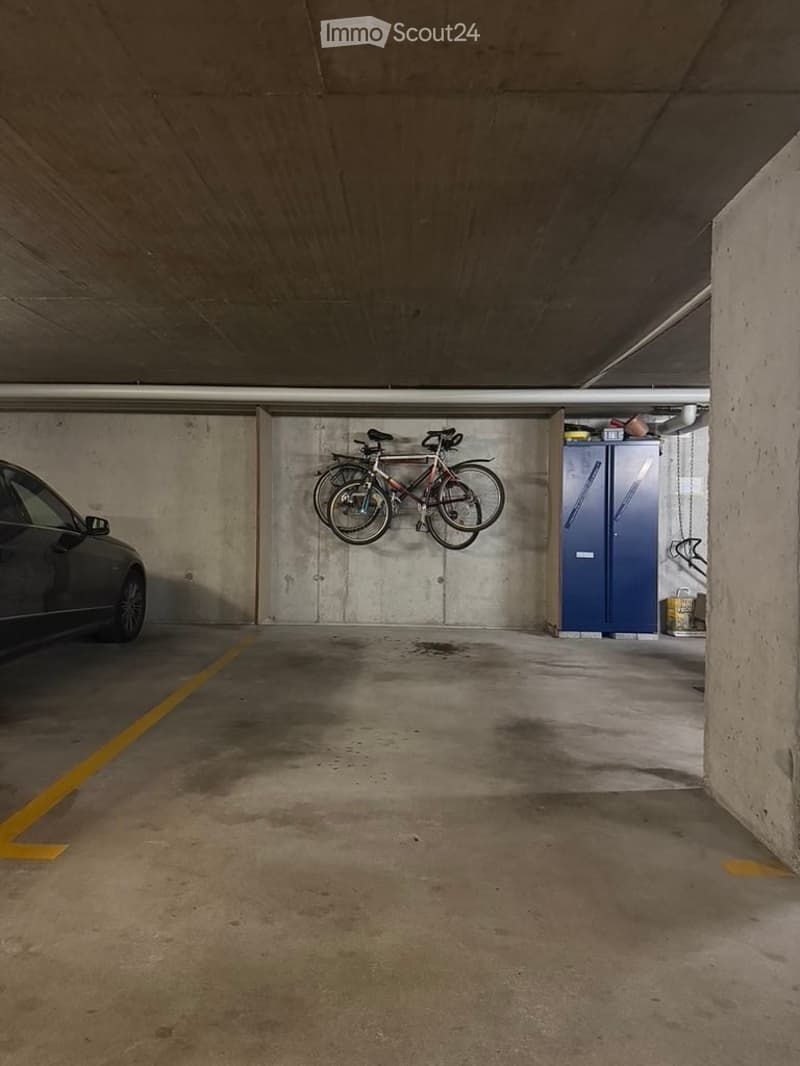 {"visible_features": ["Garage", "Parking place"], "type": "Garage", "objects": ["bicycle", "car"], "description": "Underground garage with a parked car, a bicycle hanging on the wall, and storage cabinets.", "localized_descriptions": {"EN": "Underground g