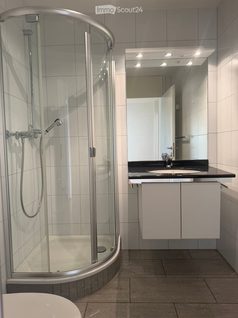 Modern bathroom with a glass-enclosed shower stall, a sink with a mirror, and white cabinets.