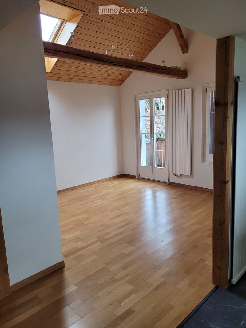 Empty room with wooden flooring, white walls, and a skylight window in the ceiling. Features a sliding glass door leading outside and a radiator on one wall.