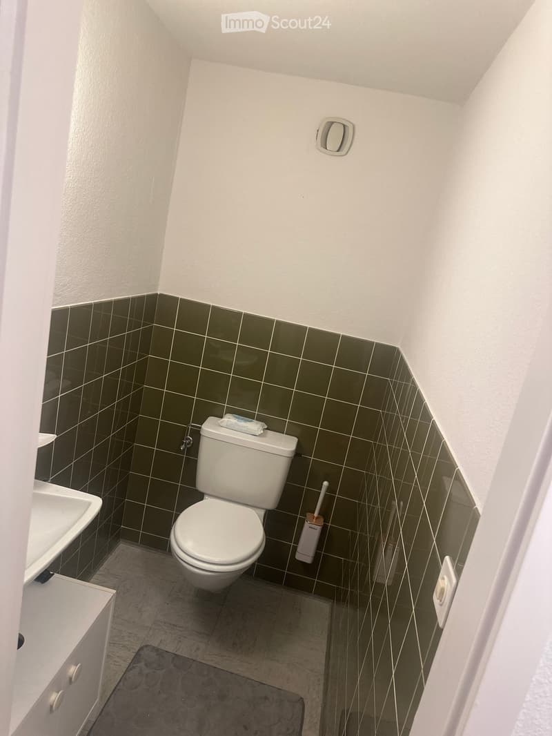 Small bathroom with white walls, dark green tiles, toilet, sink, and a mirror above the sink.
