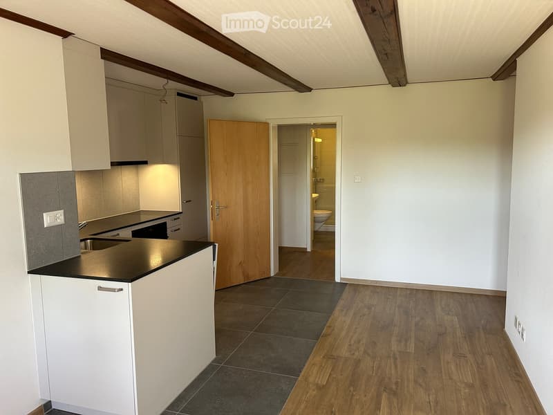 Modern kitchen with white cabinets, black countertop, and a visible bathroom with a toilet through an open wooden door.