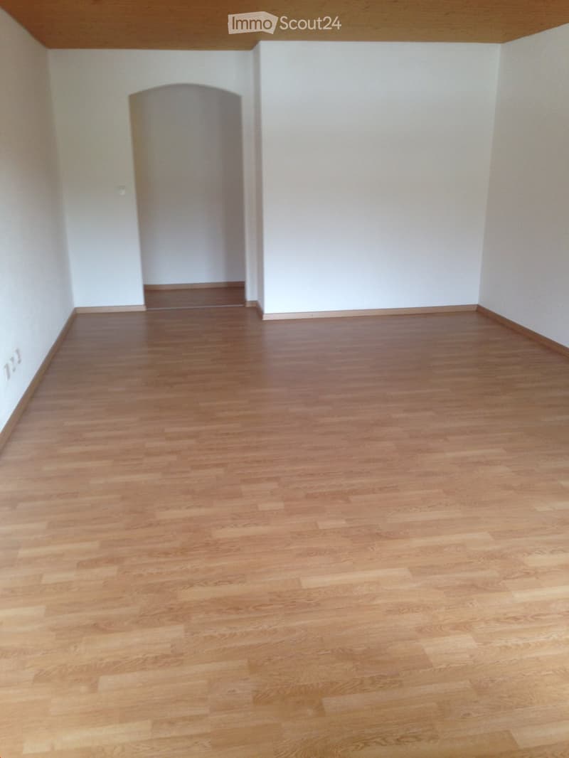Ampio appartamento 3 1/2 locali / cucina nuova / toilette nuova / bagno ristrutturato (6)