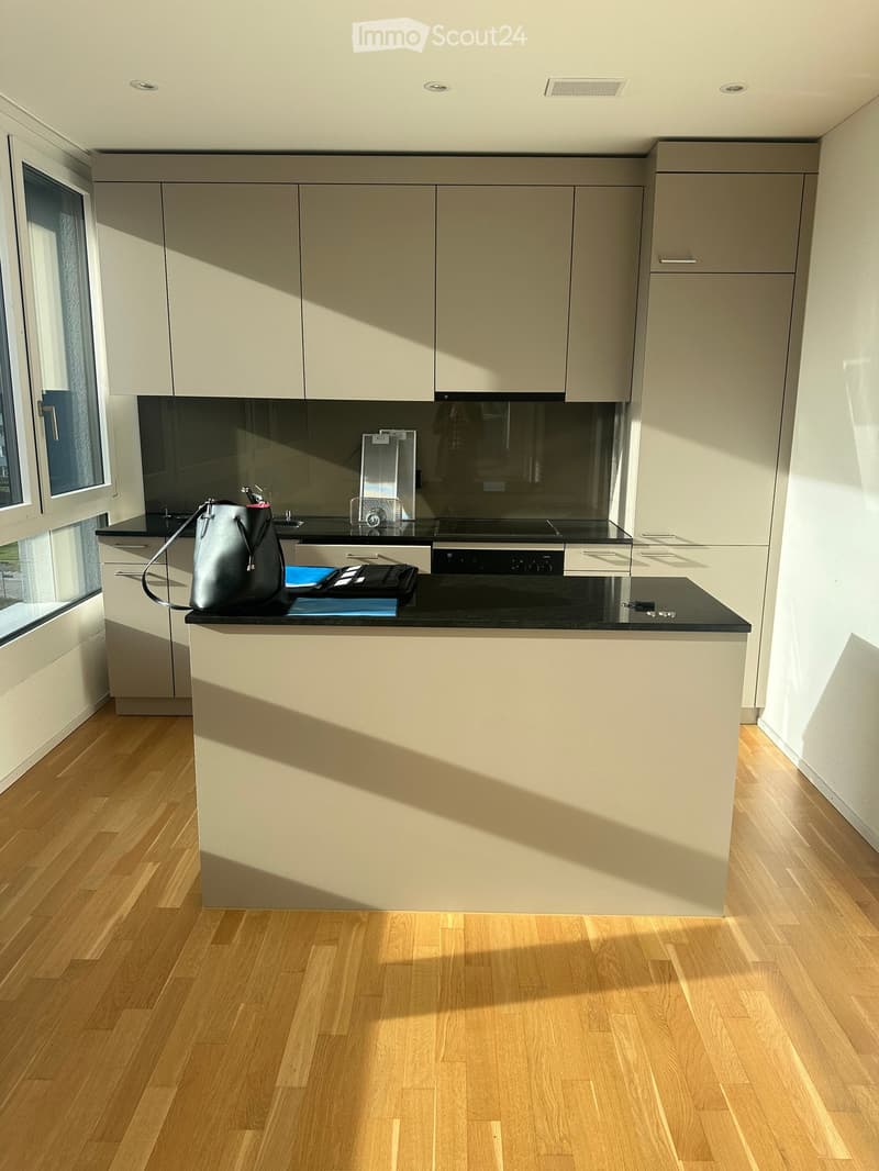 Appartamento luminoso 3.5 locali in affitto dal 1 agosto 2026 (5)