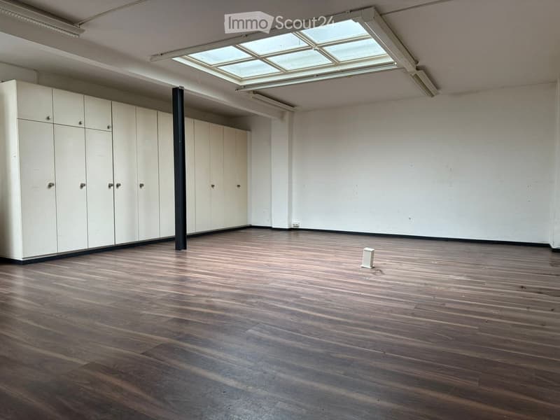 Open room, wooden floor, white ceiling, glass roof, built-in white cabinets, light fixture