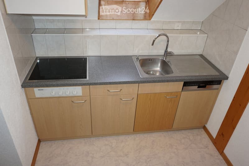 Compact kitchen with light wooden cabinets, a stainless steel sink, an induction cooktop, and a built-in dishwasher.