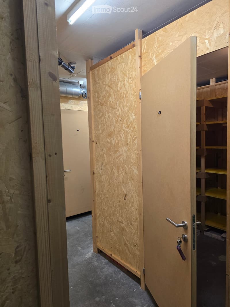 A narrow hallway with unfinished wooden walls and a grey carpeted floor. A partially open wooden door leads to a room with visible shelving units.