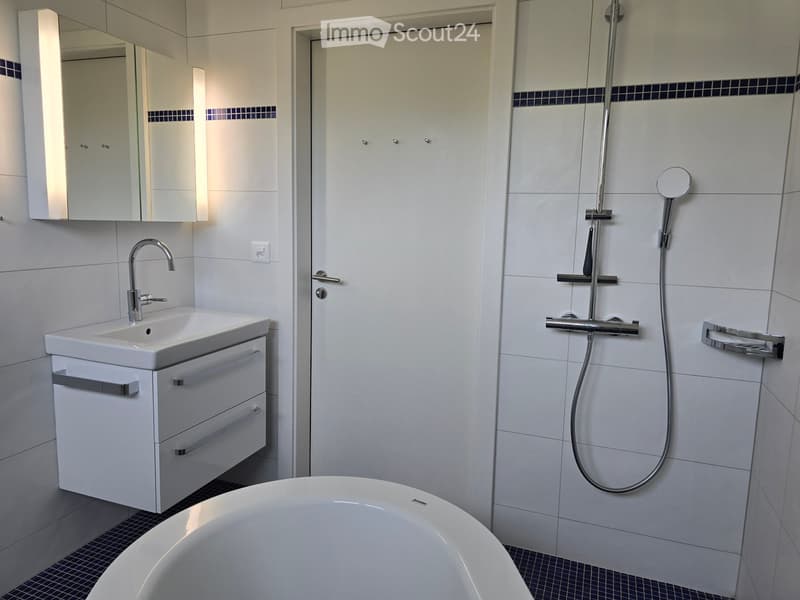 Modern bathroom with white tiles, a large bathtub, a sink with a mirror cabinet, and a shower with a handheld sprayer.