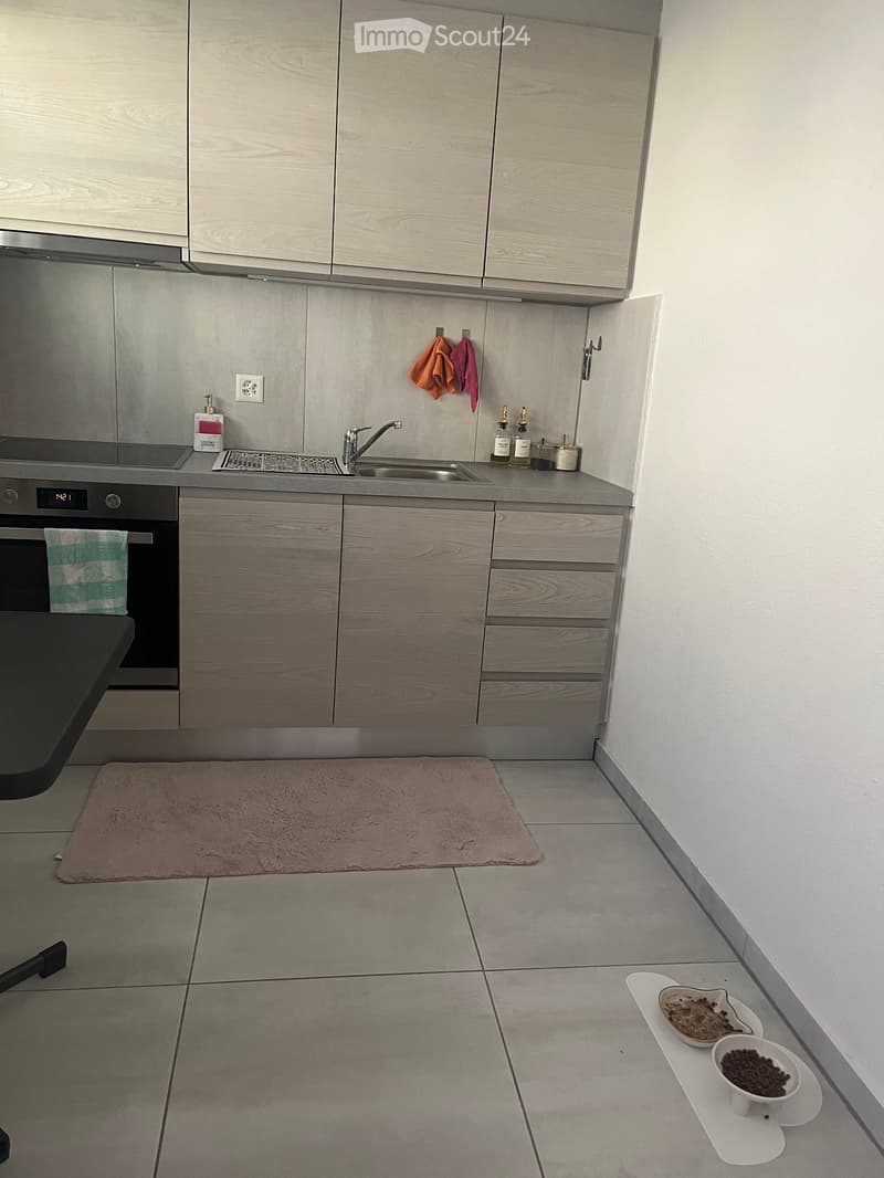 Charmante 3 Zimmer Wohnung (1)