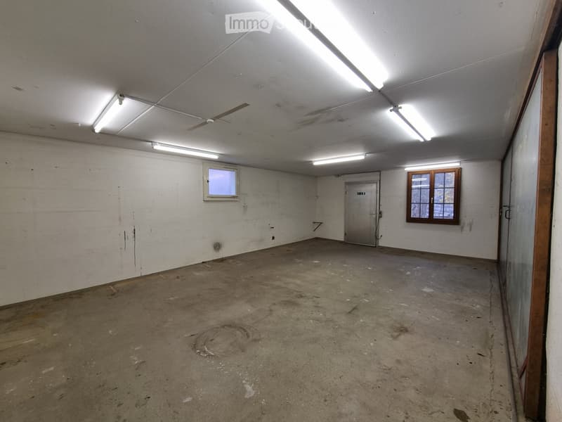 Empty room with white walls, concrete floor, two small windows, metal door, and fluorescent ceiling lights.
