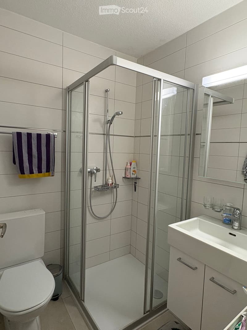 Modern bathroom with a white tiled shower enclosure, a toilet, a sink with a mirror, and a towel on a rack.