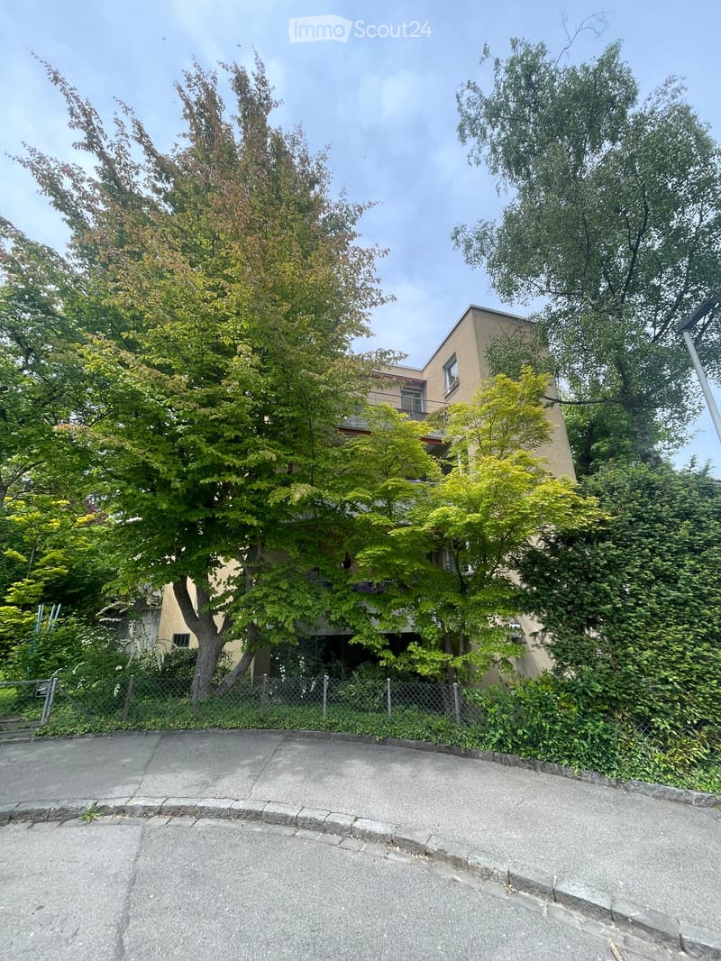 A modern two-story building surrounded by lush green trees and a metal fence, with a concrete driveway in the foreground.
