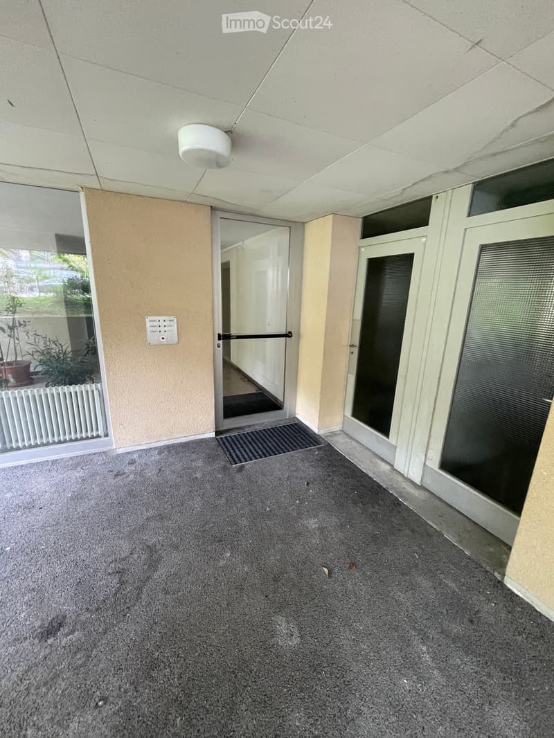Carpeted hallway with beige walls, a white ceiling light fixture, and a door leading to another room. There is a small mat in front of the door and a window to the left showing a view of greenery outside.