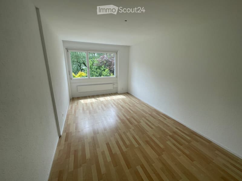 Empty room with wooden flooring, white walls, and a large window showing greenery outside.