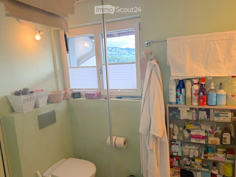 Bathroom with a toilet, shower area, towel hanging on a rod, shelves with cleaning supplies and toiletries, and a window offering a scenic view.